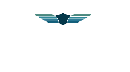 top-logo